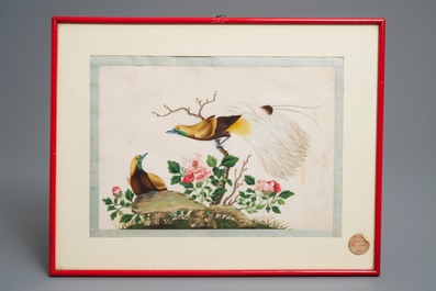 Dix peintures sur papier de riz &agrave; d&eacute;cor de papillons et oiseaux, Canton, Chine, 19&egrave;me