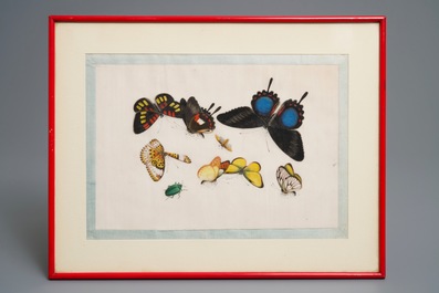 Ten Chinese framed rice paper paintings with mostly butterflies and birds, Canton, 19th C.