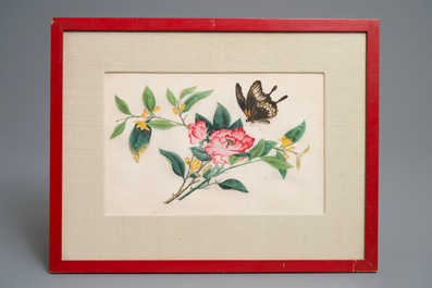 Ten Chinese framed rice paper paintings with mostly butterflies and birds, Canton, 19th C.