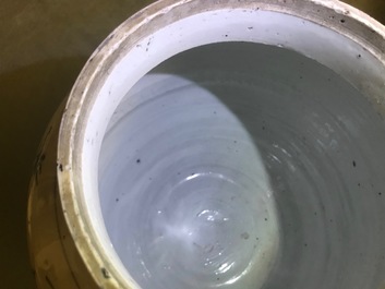 A Chinese blue and white jar with fruits and insects, Transitional period