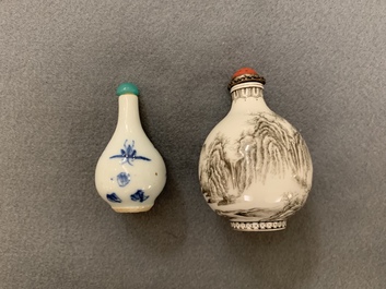 Zestien diverse Chinese porseleinen snuifflessen, 19/20e eeuw