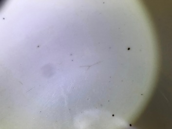 A Chinese coral-red relief-decorated bowl, 19th C.