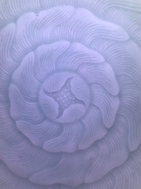 Une assiette en forme de chrysanth&egrave;me en porcelaine de Chine c&eacute;ladon, marque et &eacute;poque de Qianlong