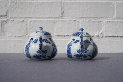 Een paar Chinese blauw-witte theepotten met 'Lange Lijzen', 'Qing Yu Tang Zhi' merk, Kangxi