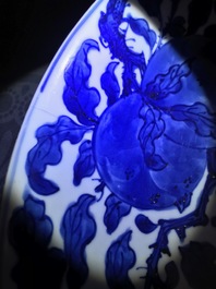 Een Chinese blauw-witte schotel met vruchten in gebladerte, Kangxi