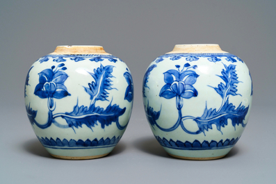 A pair of Chinese blue and white jars with floral design, Kangxi