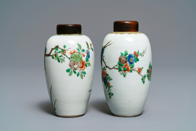 Two Chinese famille verte vases with birds on blossoming branches, Kangxi