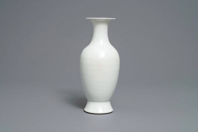 Un vase en porcelaine de Chine qianjiang cai sign&eacute; Wang Qi, 19/20&egrave;me