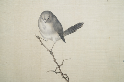 Chinese school, 19th C., ink and colour on silk: 'birds on blossoming branches'