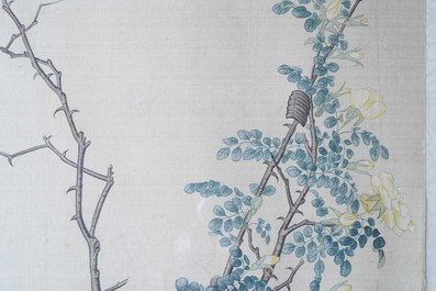 Ecole chinoise, 19&egrave;me, encre et couleurs sur soie: 'deux oiseaux sur branches fleuries'