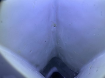 Cinq vases en porcelaine de Chine en bleu et blanc, Kangxi