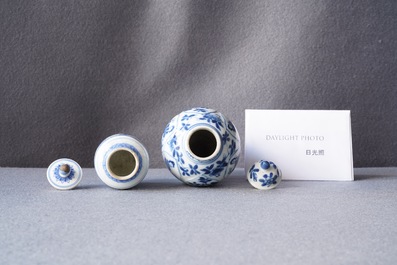 Two small Chinese blue and white 'Long Eliza' vases and covers, Kangxi