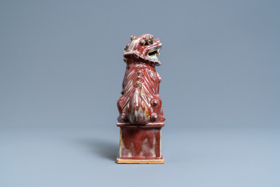 Un mod&egrave;le d'un lion bouddhiste en porcelaine de Chine sang de boeuf monochrome, 19&egrave;me