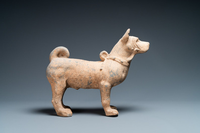 A large Chinese grey pottery model of a dog, Han