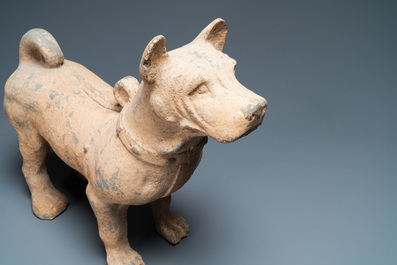 A large Chinese grey pottery model of a dog, Han