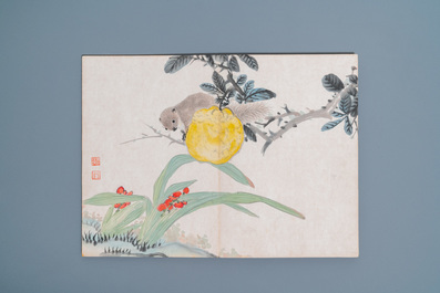 Chinese school, ink and color on paper: an album with eleven birds and a squirrel, 19/20th C.