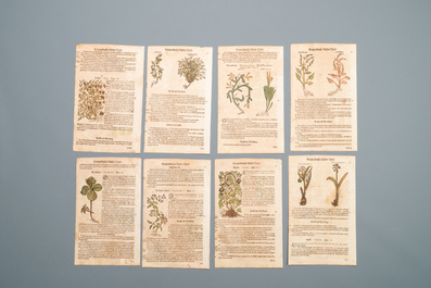 83 partly hand-coloured pages from botanical works, 16/17th C.