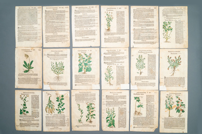 83 partly hand-coloured pages from botanical works, 16/17th C.