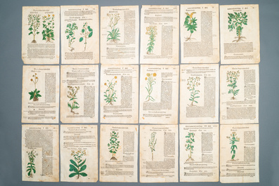 83 partly hand-coloured pages from botanical works, 16/17th C.