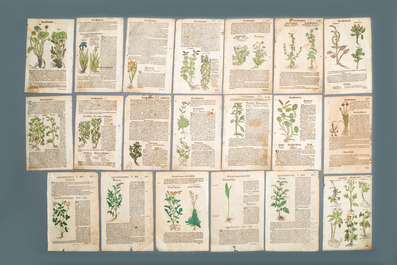 83 partly hand-coloured pages from botanical works, 16/17th C.