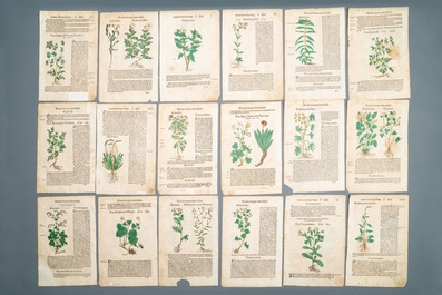 83 partly hand-coloured pages from botanical works, 16/17th C.