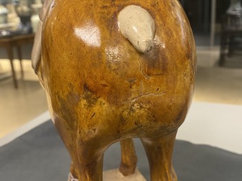 Un mod&egrave;le d'un cheval en terre cuite &agrave; gla&ccedil;ure ambre et beige, Chine, Tang