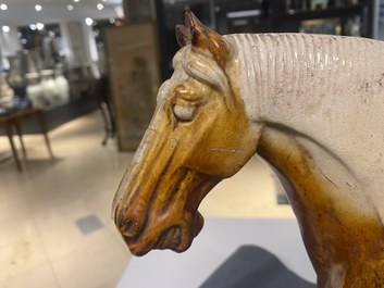 Een Chinees amber- en beige-geglazuurd aardewerken model van een paard, Tang