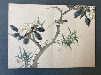 Chinese school, inkt en kleur op papier: album met elf vogels en een eekhoorn, 19/20e eeuw