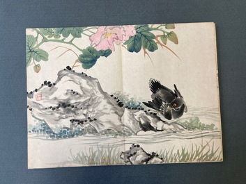 Ecole chinoise, encre et couleurs sur soie: un album figurant onze oiseaux et un &eacute;cureuil, 19/20&egrave;me