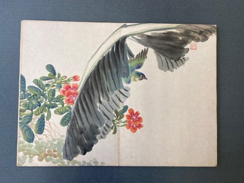Ecole chinoise, encre et couleurs sur soie: un album figurant onze oiseaux et un &eacute;cureuil, 19/20&egrave;me
