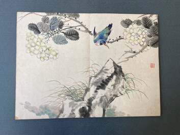 Chinese school, inkt en kleur op papier: album met elf vogels en een eekhoorn, 19/20e eeuw