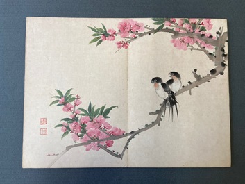 Chinese school, ink and color on paper: an album with eleven birds and a squirrel, 19/20th C.