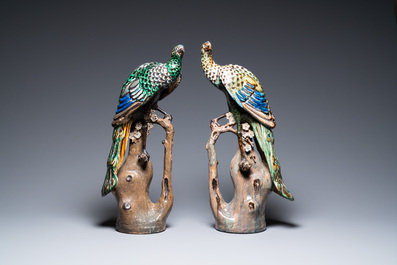 A pair of large Chinese polychrome pottery peacocks on tree trunks, Shiwan, 19th C.