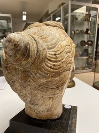 A Roman marble head of a satyr, 2nd/3rd C.