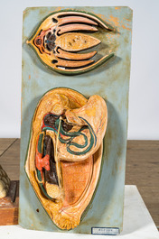 A varied collection of anatomical models, 20th C.