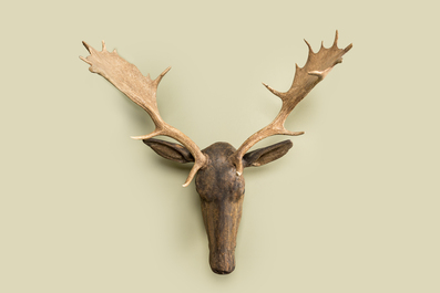 T&ecirc;te de cerf en bois sculpt&eacute; et polychrom&eacute; mont&eacute; d'un bois d'orignal, 19/20&egrave;me