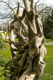 Tr&ocirc;ne impressionnant fait de racines d'arbres, 20&egrave;me si&egrave;cle