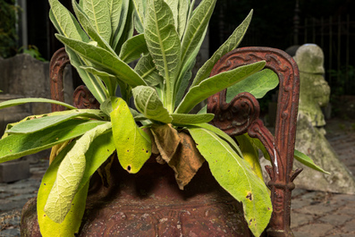 A pair of cast iron garden vases, 20th C.