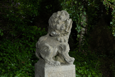 Een paar Chinese basaltstenen sculpturen van tempelleeuwen in Ming-stijl, 19/20e eeuw