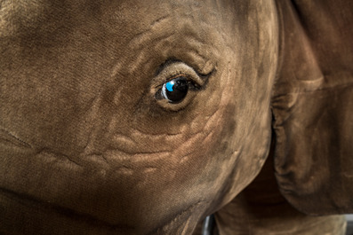 Enorme &eacute;l&eacute;phant d'exposition en peluche, Steiff, Allemagne, 20&egrave;me