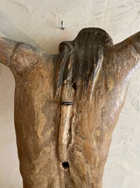 Grand Christ en bois sculpt&eacute; avec traces de polychromie, fin du 16&egrave;me