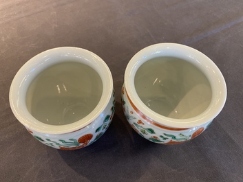 Paire de petites jardini&egrave;res en porcelaine de Chine wucai &agrave; d&eacute;cor de carpes, 19&egrave;me