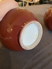 A pair of Chinese monochrome copper-red bottle vases, 19th C.