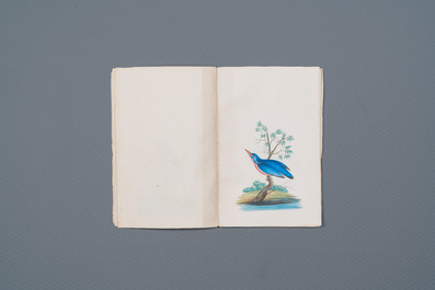 Album met 12 schilderijen van Indiase vogels, 19e eeuw