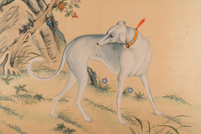 Follower of Lang Shining 郞世寧 (1688-1766): 'A Chinese greyhound', ink and colour on silk, 20th C.