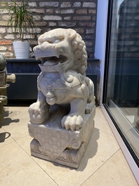 Paire de grands lions bouddhistes en marbre blanc, Chine, 19&egrave;me