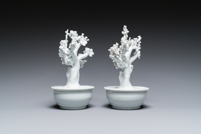 Paire de mod&egrave;les d'arbres dans jardini&egrave;res en porcelaine blanche de Chine, Kangxi