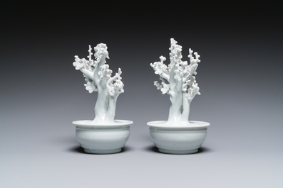Een paar Chinese blanc de Chine modellen van bomen in jardini&egrave;res, Kangxi
