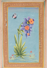 Persian and Indian school: seven miniatures with figurative and floral designs on Quran pages, 19/20th C.