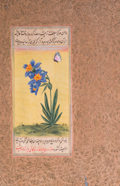 Persian and Indian school: seven miniatures with figurative and floral designs on Quran pages, 19/20th C.